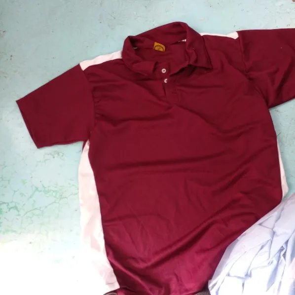 Playera polo institucional